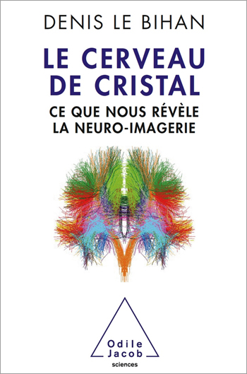 Cerveau de cristal (Le) - Ce que nous révèle la neuro-imagerie