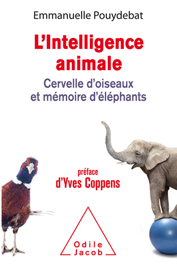 Intelligence animale (L') - Cervelle d'oiseaux et mémoire d'éléphants