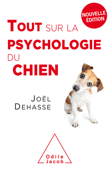 Everything You Need to Know About Dog Psychology